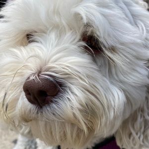 Meet your Posher, Mae